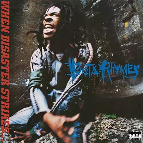 When Disaster Strikes [VINYL], CD - Muzyka
