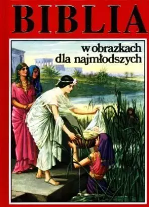 Biblia w obrazkach dla najmłodszych, mix wzorów - Książki