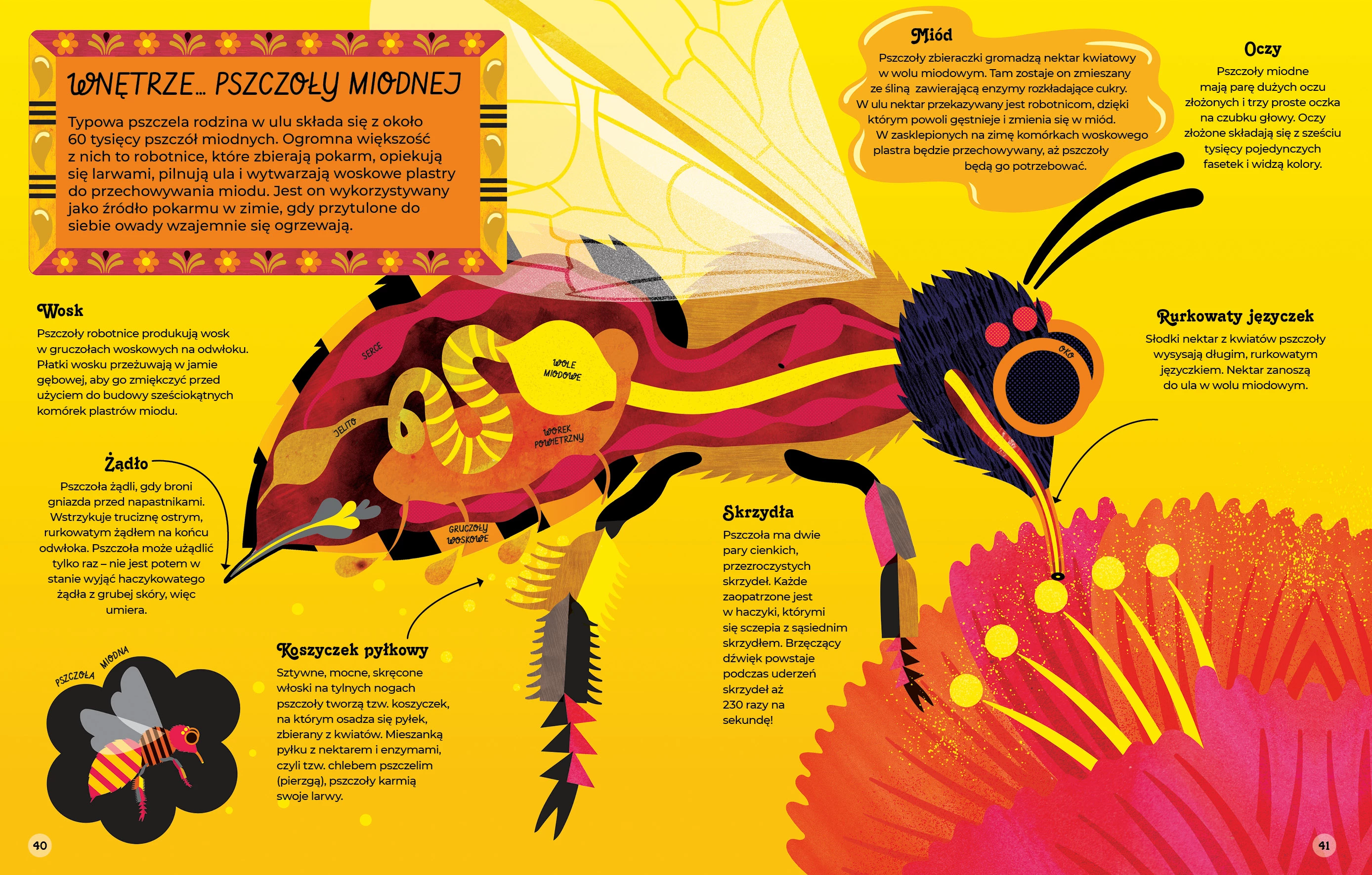 Wnętrza zwierząt - Książki