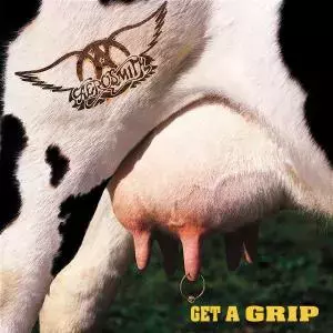 Get A Grip. CD - Muzyka