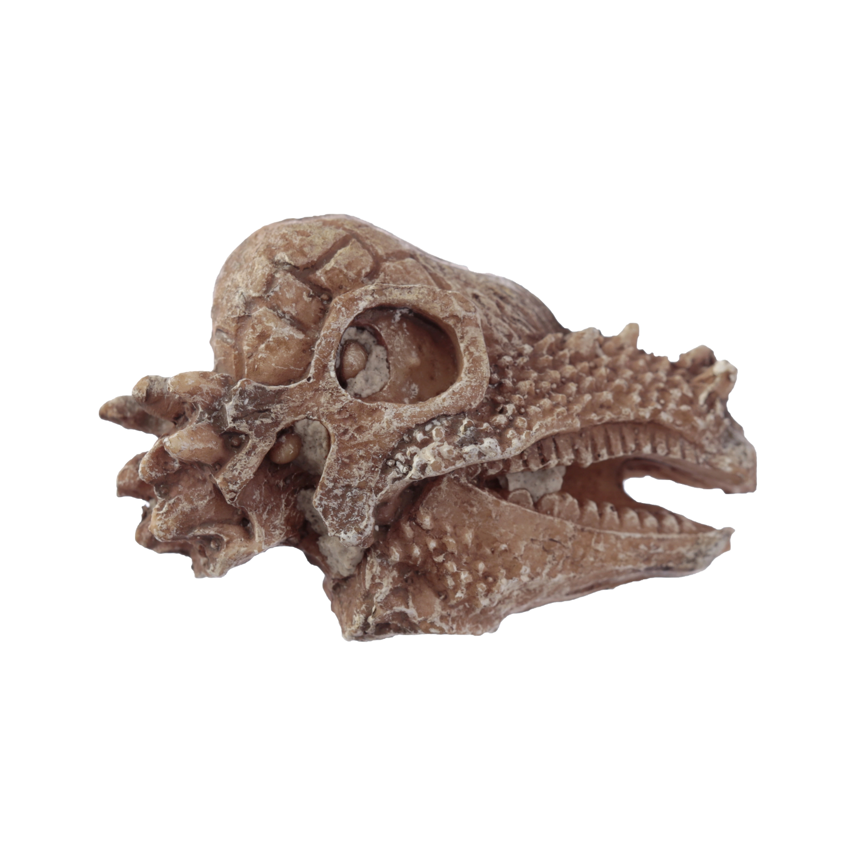 Zestaw archeologiczny 'Wykop to sam' - Czaszka dinozaura - Zabawki