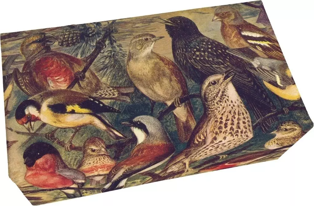 Mydło 200g zapach waniliowy Ptaki - Papiernicze i szkolne