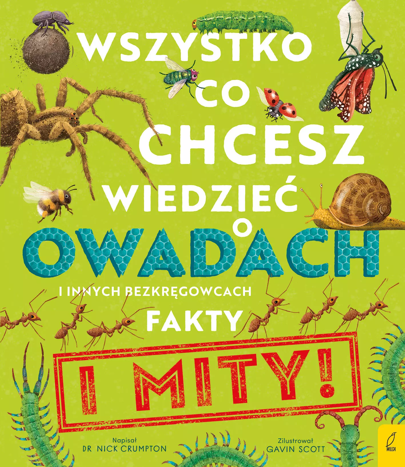 Wszystko, co chcesz wiedzieć o owadach i innych bezkręgowcach. Fakty i mity - Książki