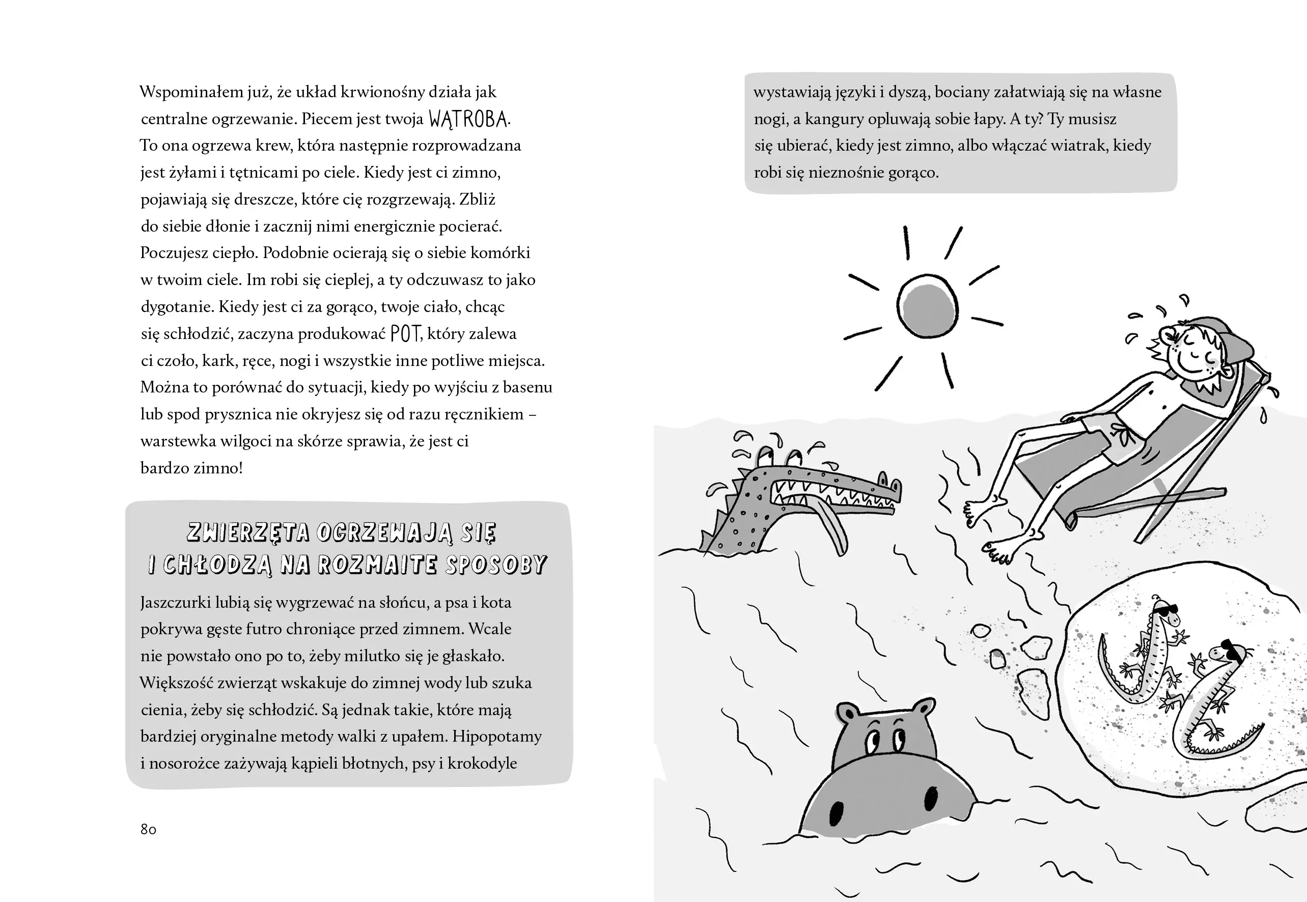 Bebechy, czyli ciało człowieka pod lupą - Książki