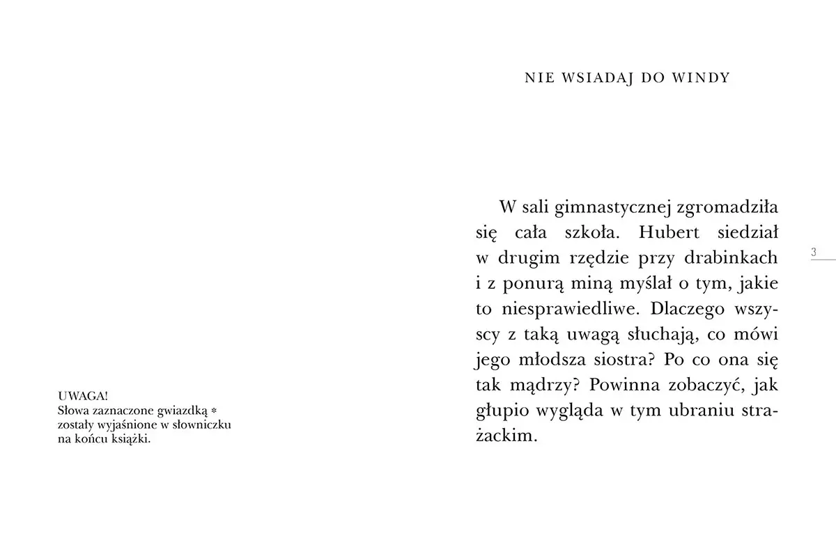 Czytam sobie. Poziom 3. Pożar w fabryce - Książki