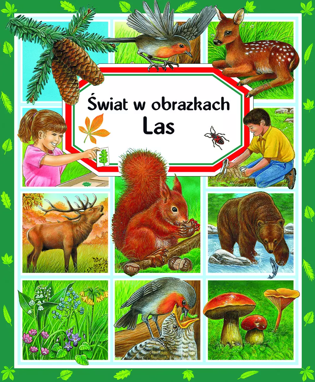 Świat w obrazkach. Las - Książki