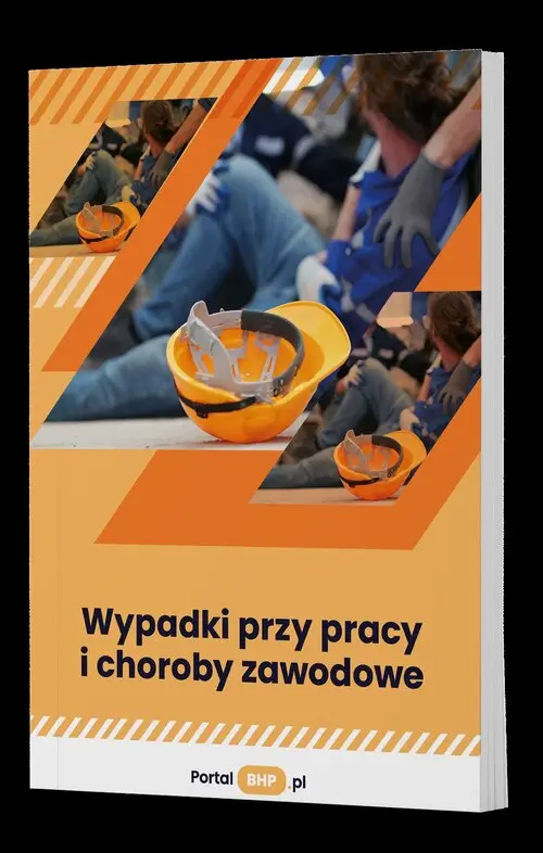 Wypadki przy pracy i choroby zawodowe - Książki