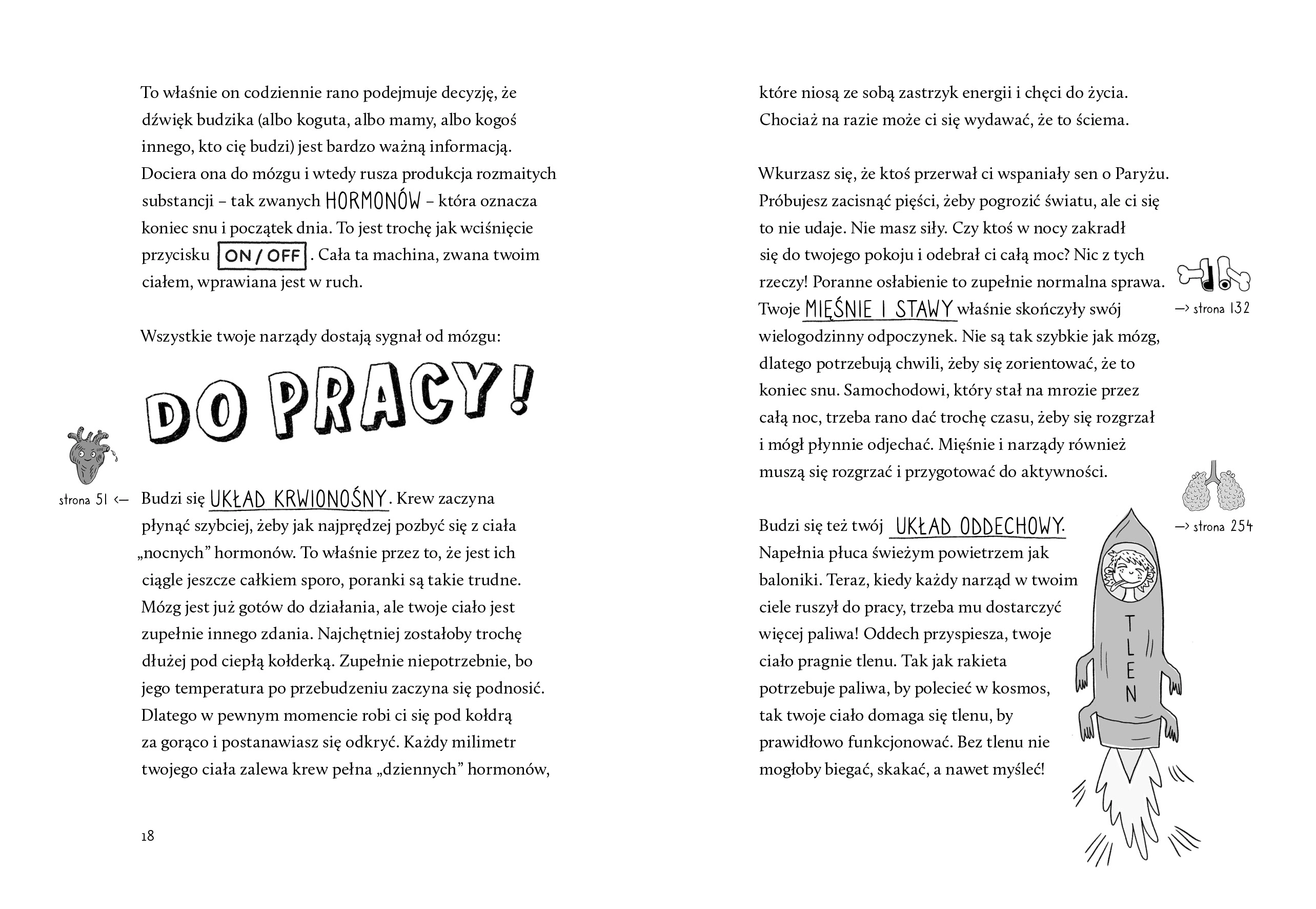 Bebechy, czyli ciało człowieka pod lupą - Książki