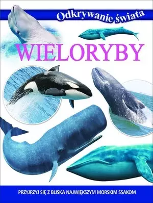 Wieloryby. Odkrywanie świata - Książki