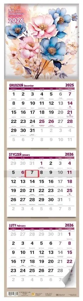 Kalendarz 2026 trzymiesięczny mini lux - Książki