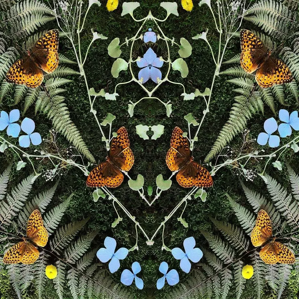 Aubades, CD - Muzyka