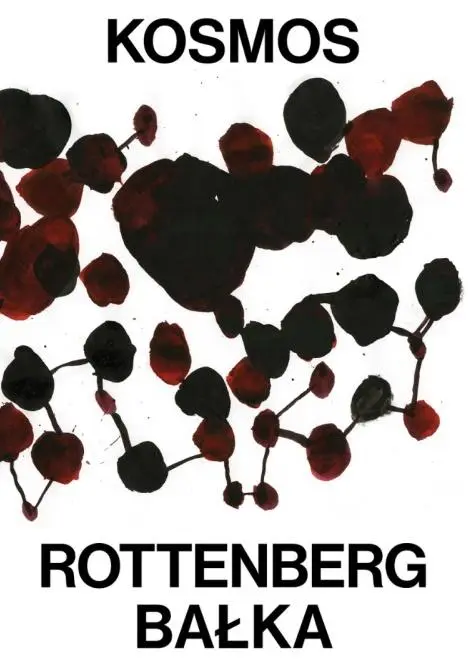 Kosmos. Rozmowy - Teksty - Przyjaźń - Książki