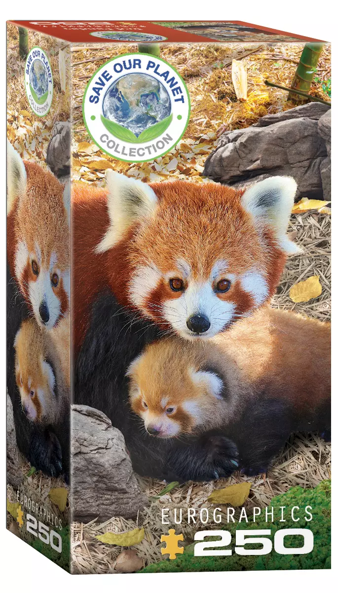 Puzzle 250 Czerwone pandy 8251-5557 - Puzzle