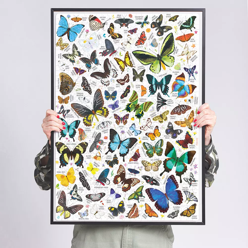 Puzzlove CzuCzu 1000 elementów. Motyle - Puzzle