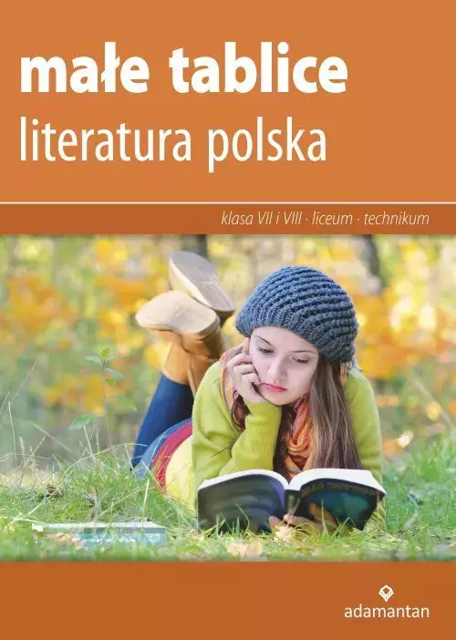 Małe tablice. Literatura polska dla klas 7-8 oraz liceum i technikum - Książki