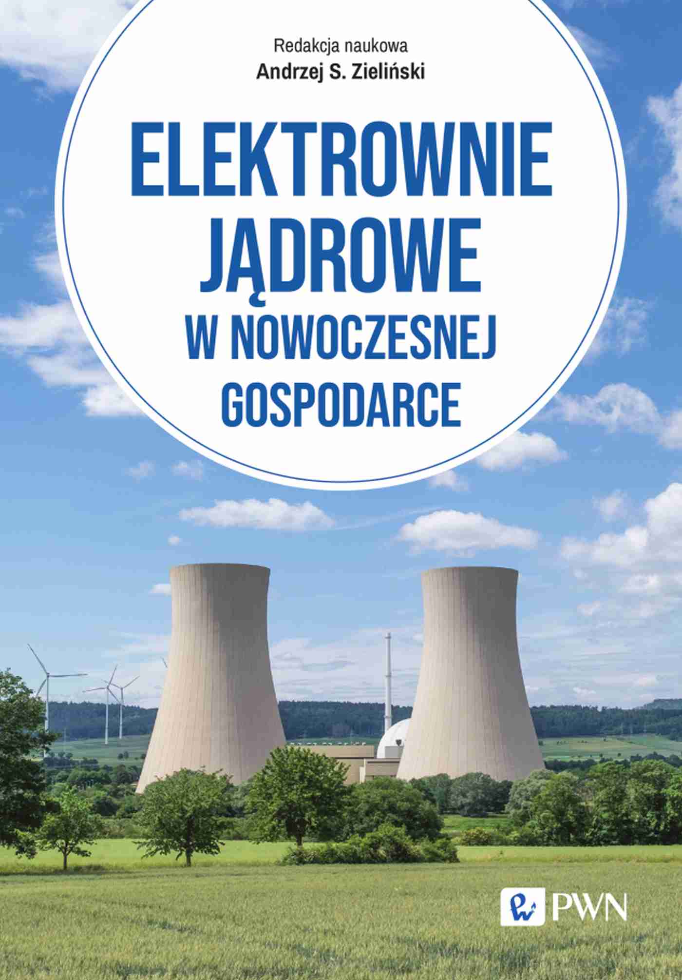 Elektrownie jądrowe w nowoczesnej gospodarce. Technologie, ekonomika, bezpieczeństwo - Książki