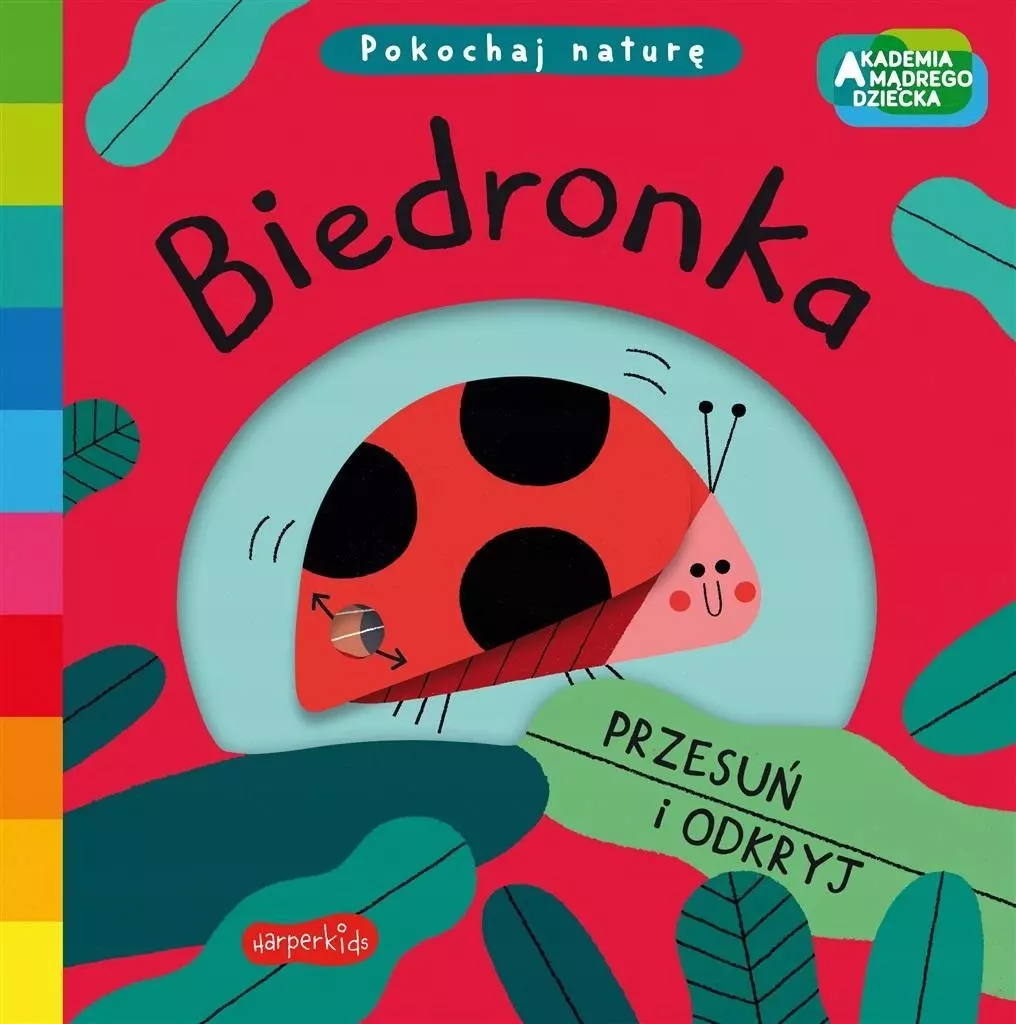 Akademia mądrego dziecka. Pokochaj naturę. Biedronka - Książki
