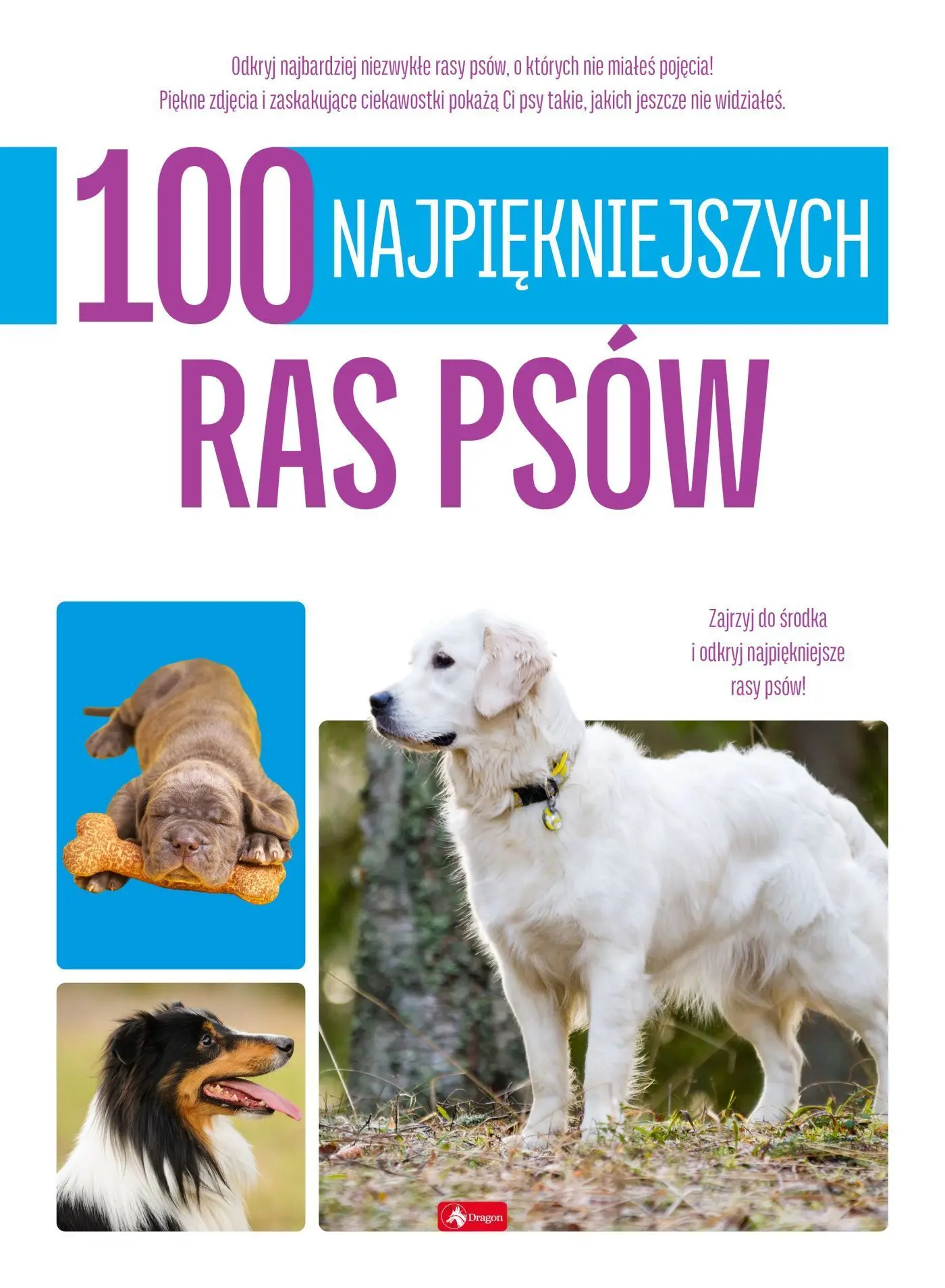 100 najpiękniejszych ras psów