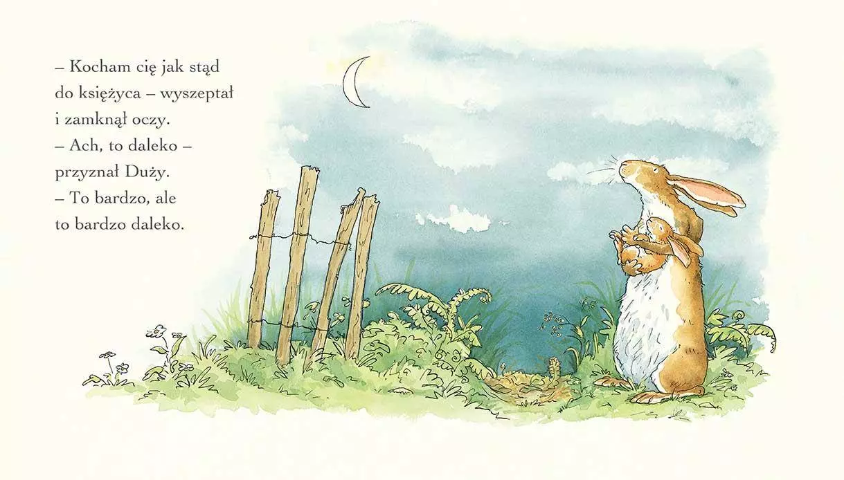 Nawet nie wiesz, jak bardzo Cię kocham - Książki