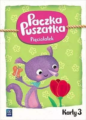 Paczka Puszatka. Pięciolatek. Karty. Część 3 - Książki