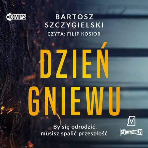 Dzień gniewu. Audiobook - Audiobooki