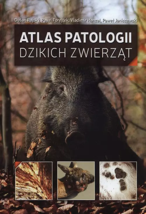 Atlas patologii dzikich zwierząt - Książki