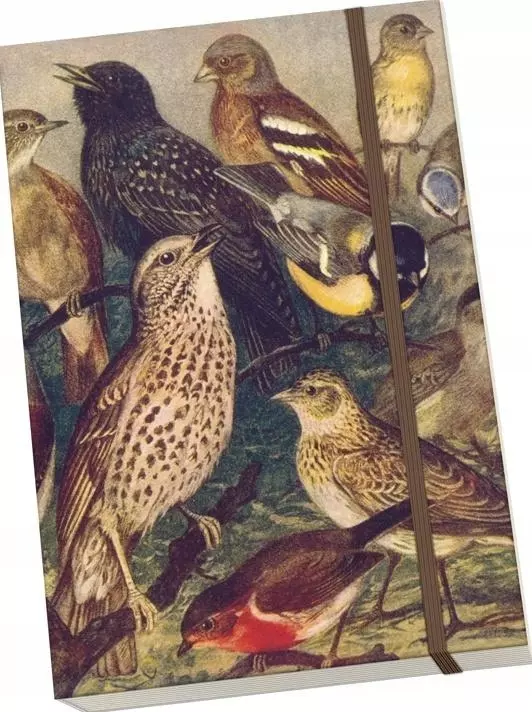 Notatnik ozdobny A5 STNOTE 129 Ptaki - Książki