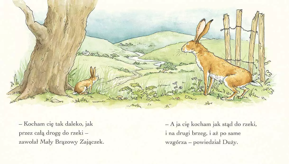 Nawet nie wiesz, jak bardzo Cię kocham - Książki