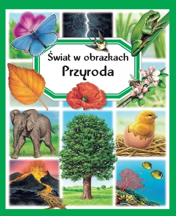 Świat w obrazkach. Przyroda - Książki