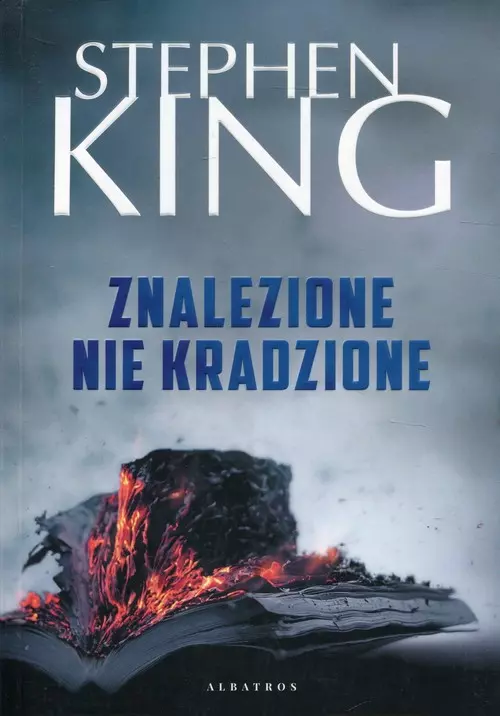 Znalezione nie kradzione - Książki
