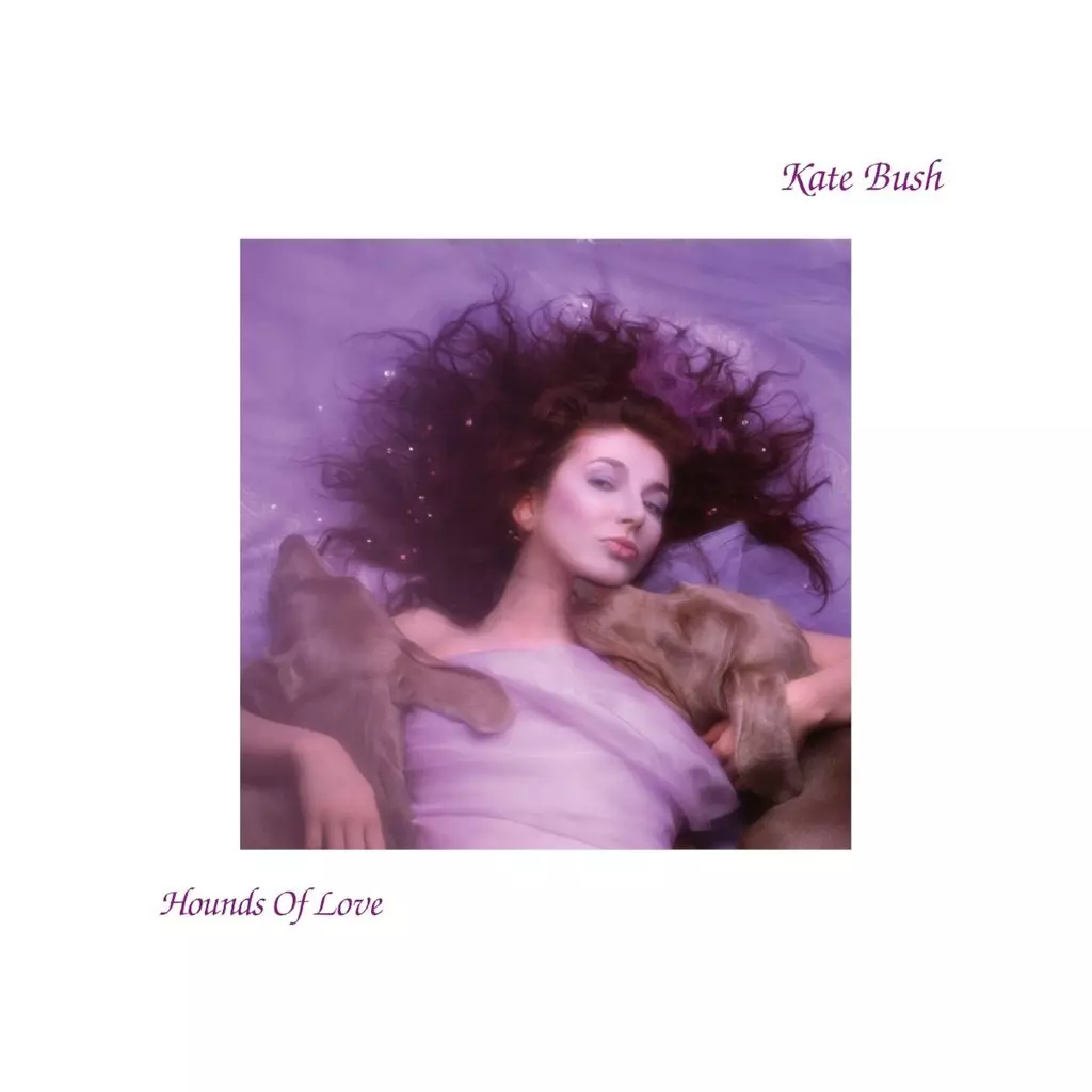 Hounds Of Love, CD - Muzyka