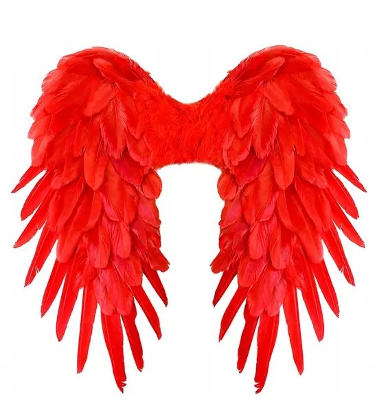 Skrzydła diablicy czerwone 50x50 cm halloween - Papiernicze i szkolne