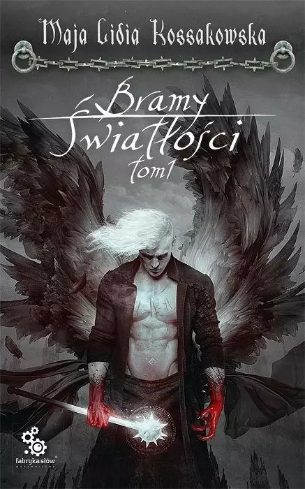 Cykl Anielski. Bramy Światłości. Tom 1 - Książki