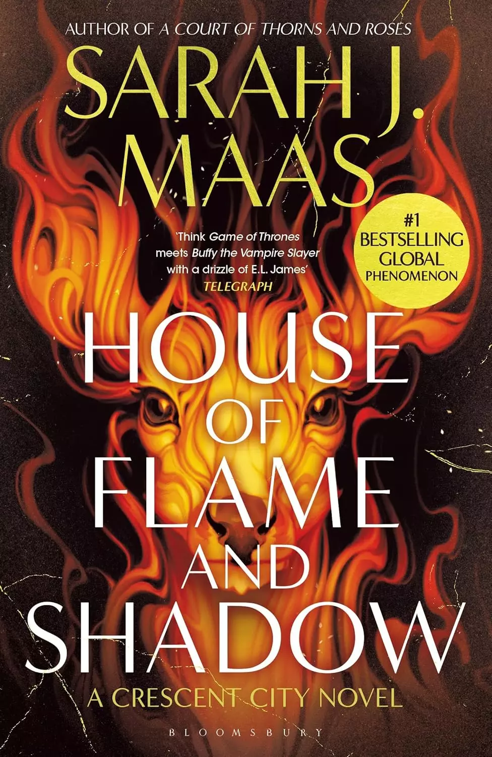 House of Flame and Shadow (Crescent City, 3) - Książki