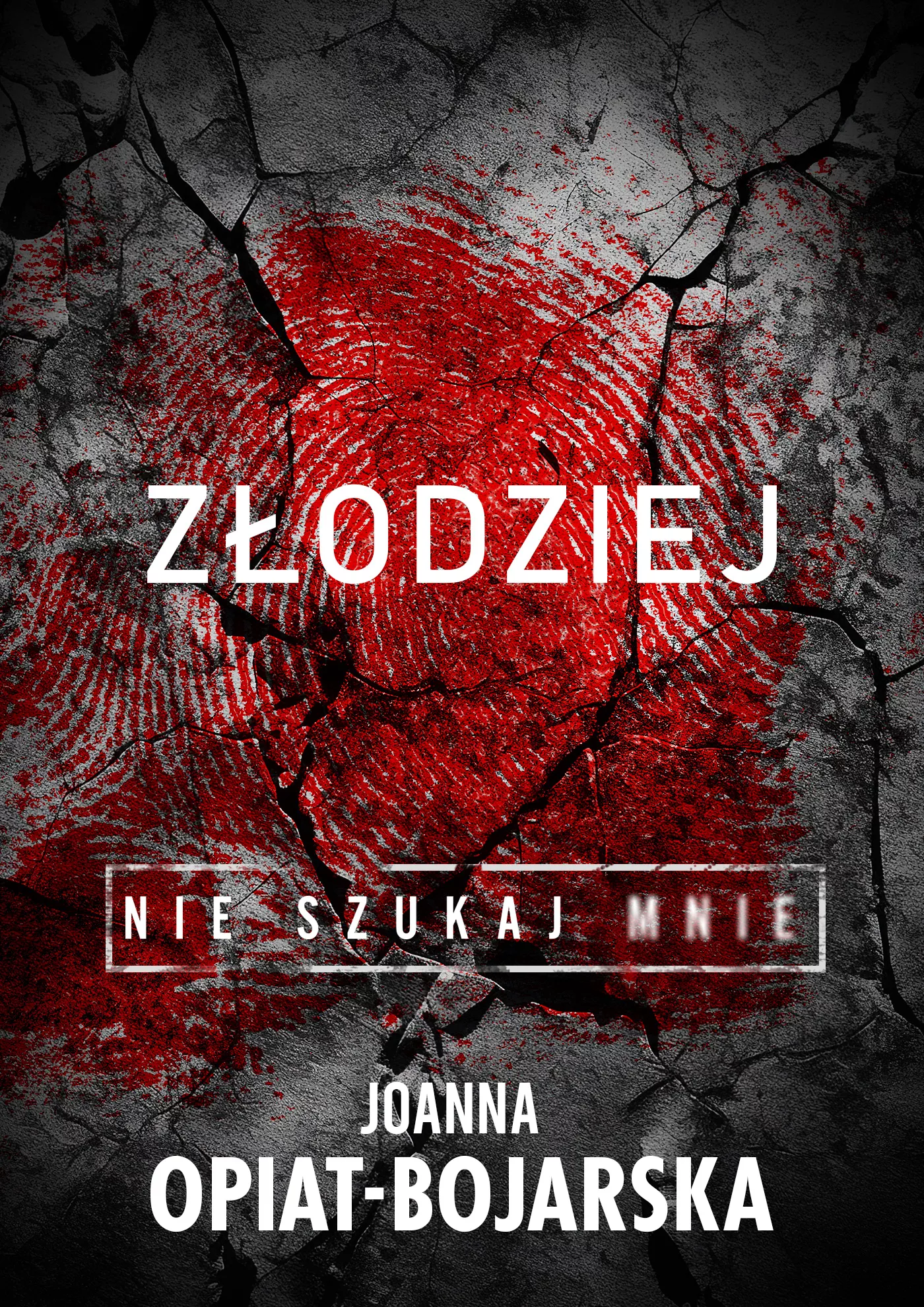 Złodziej. Nie szukaj mnie. Tom 1 - Książki