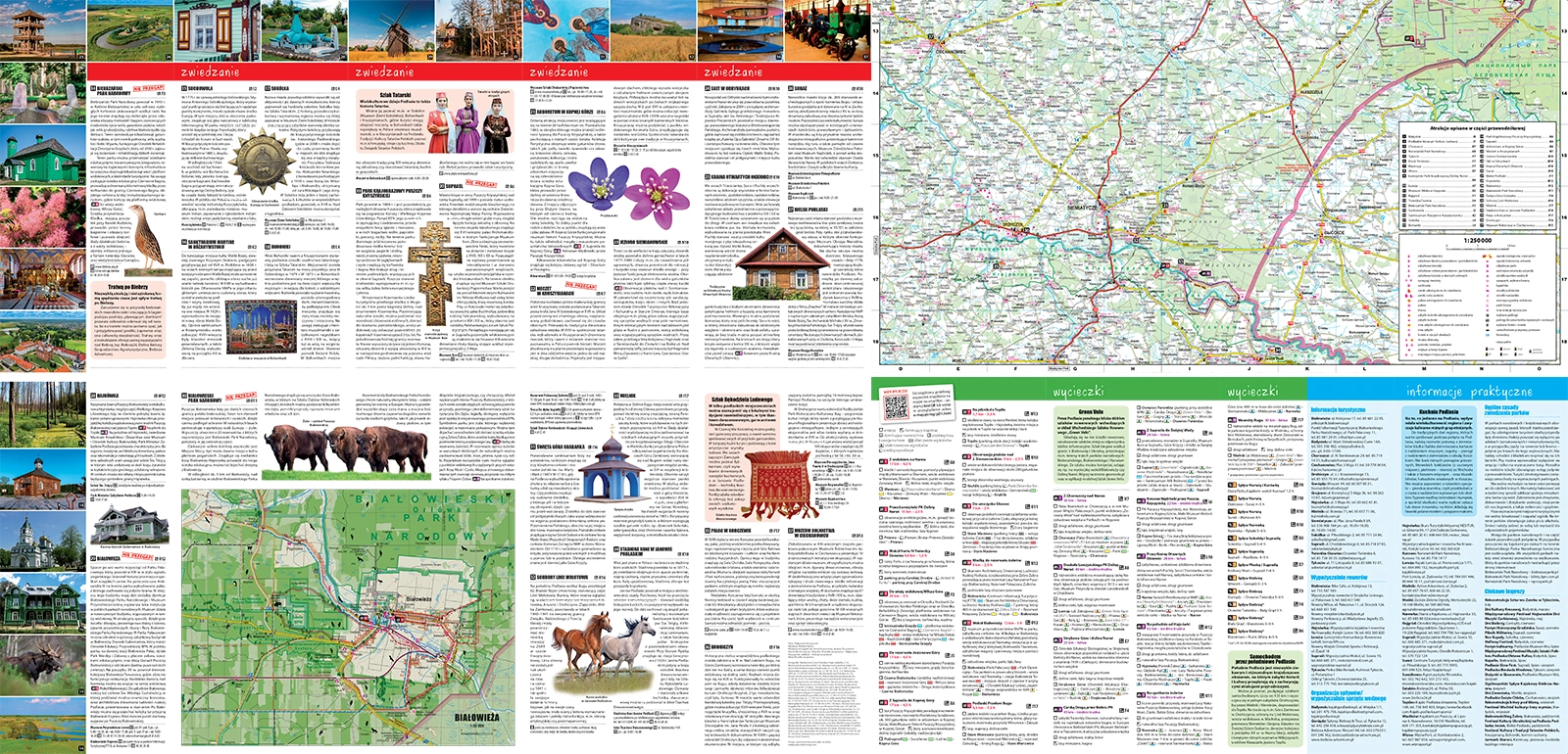Podlasie. Laminowany map&guide XL. 2w1. Przewodnik i mapa - Książki