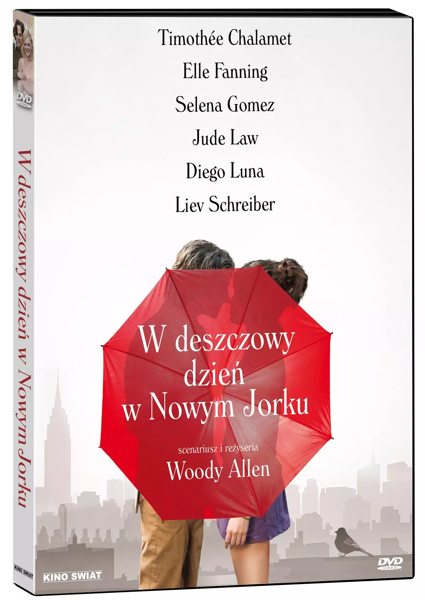 W deszczowy dzień w Nowym Jorku, DVD - Filmy