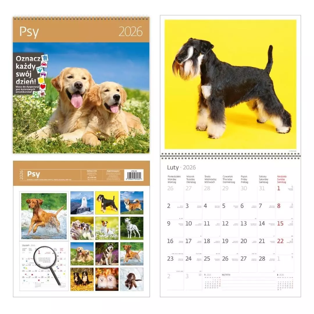 Kalendarz 2026 ścienny 30x30 Psy HELMA - Książki