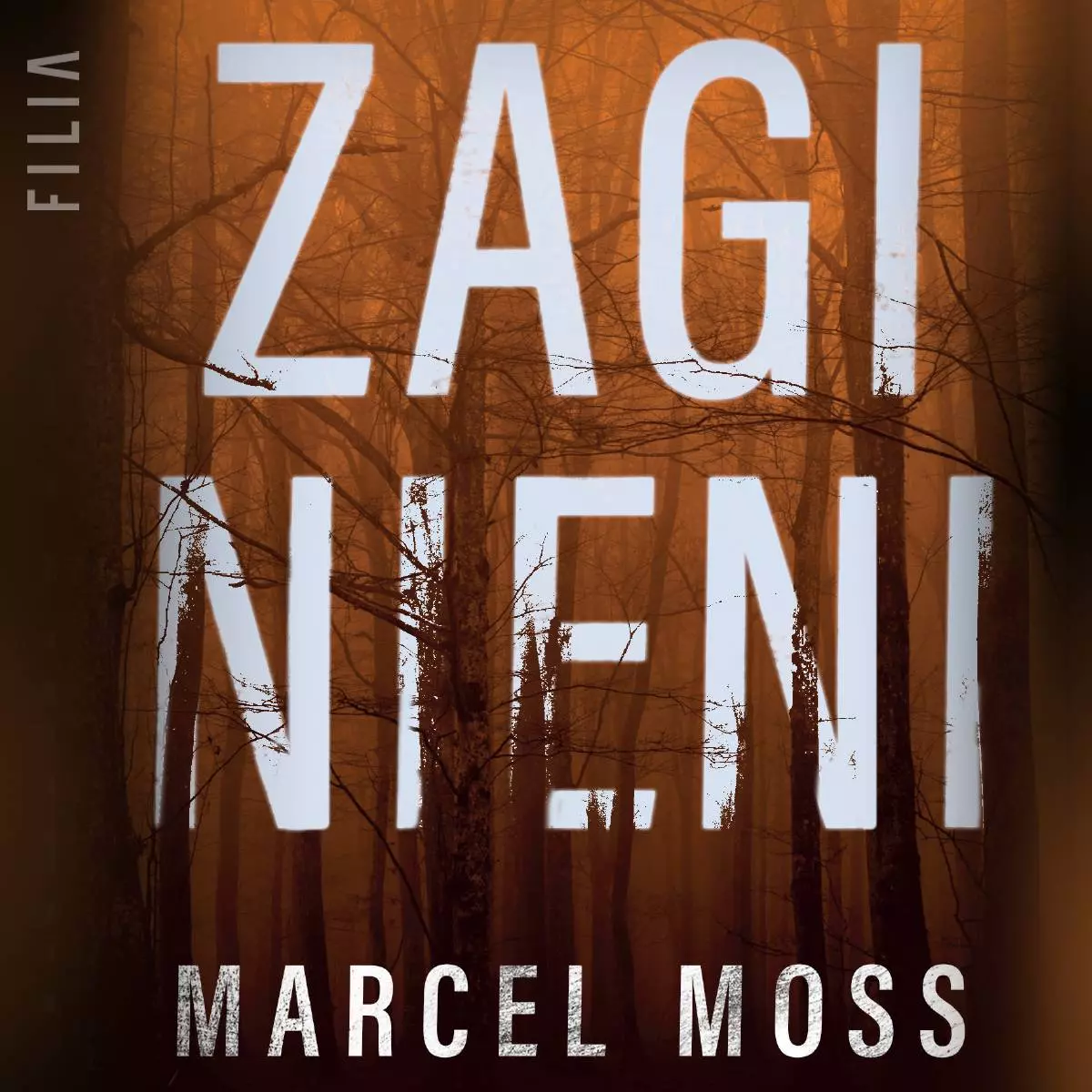 Zaginieni. Audiobook - Audiobooki