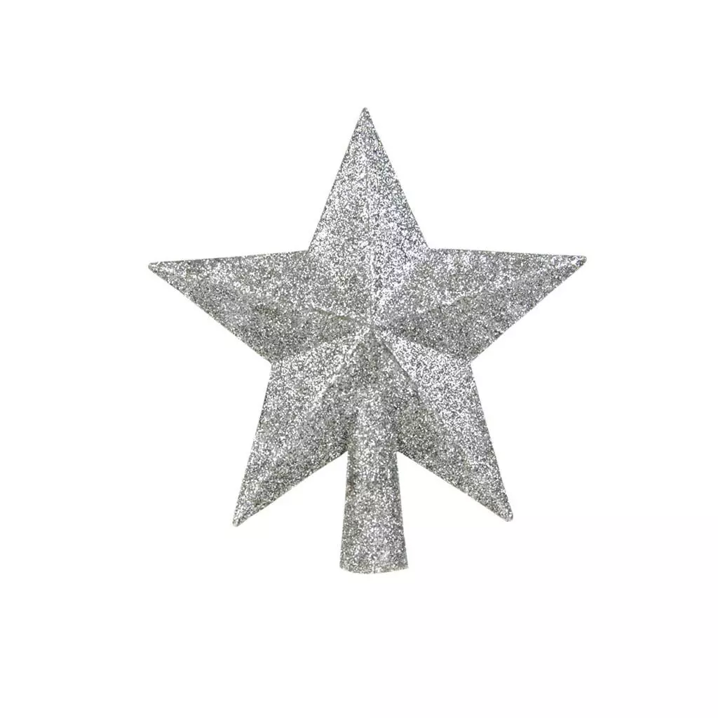 Gwiazda choinkowa srebrna - Książki
