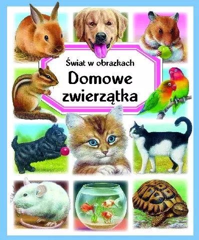Świat w obrazkach. Domowe zwierzątka - Książki