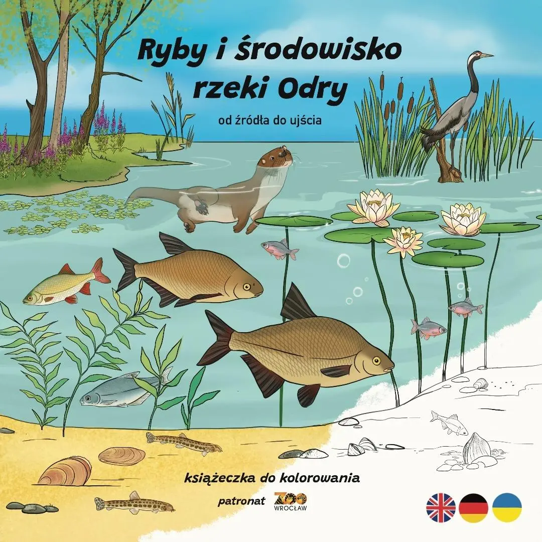 Ryby i środowisko rzeki Odry. Od źródła do ujścia - Książki