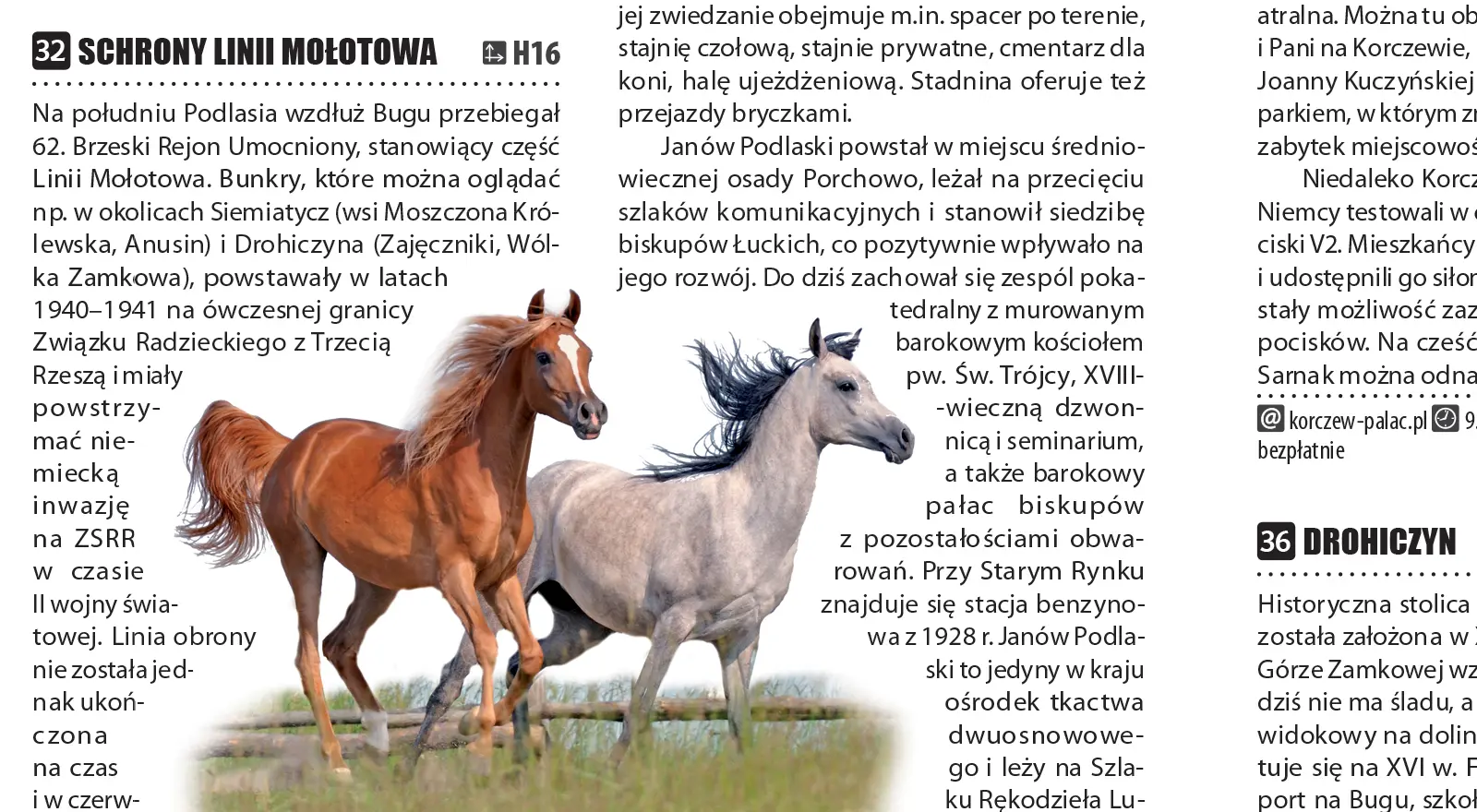 Podlasie. Laminowany map&guide XL. 2w1. Przewodnik i mapa - Książki