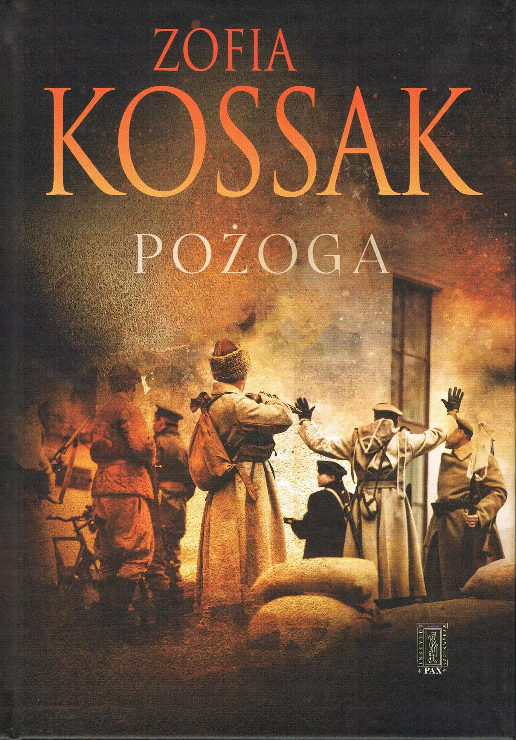 Pożoga wsponienia z Wołynia 1917-1919 dodruk 2023 - Książki