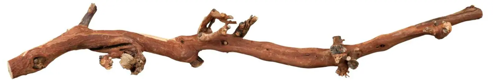 Korzenie winorośla, piaskowane, rozmiar 3, 45-70cm, ca. 5kg, 5szt/OPAK - Elektronika i akcesoria