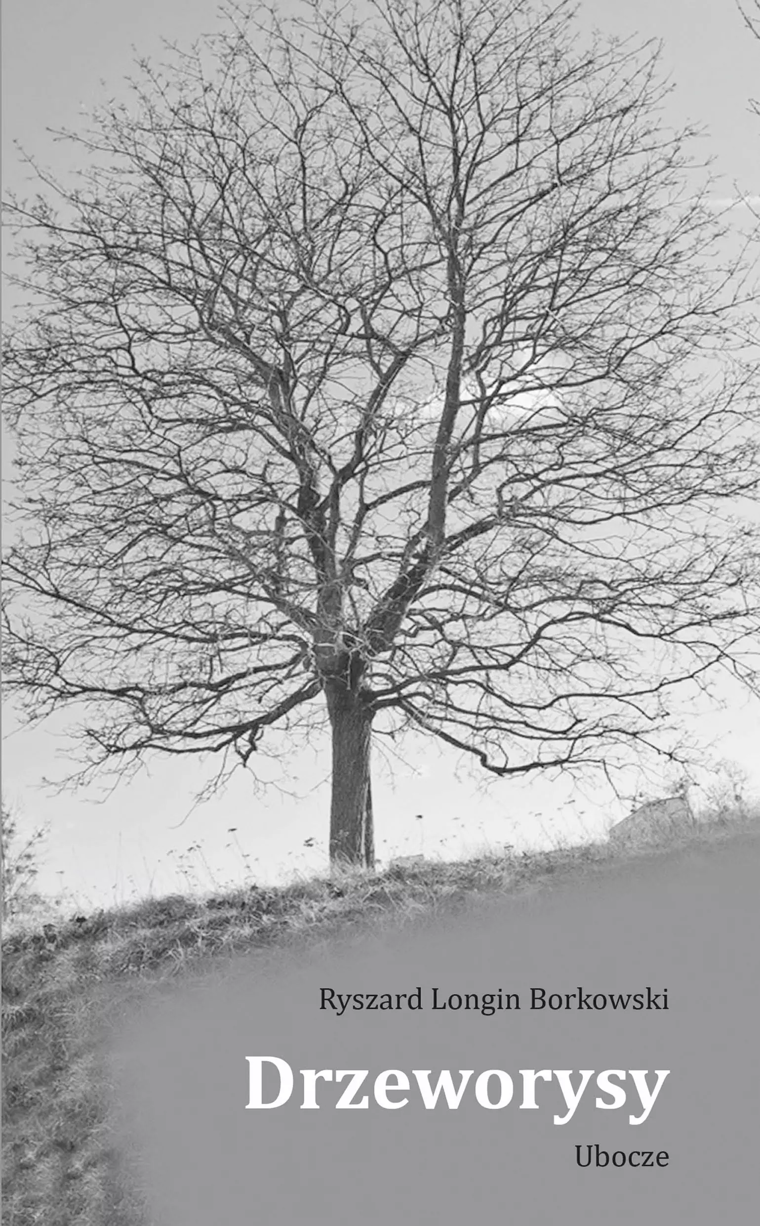Drzeworysy. Ubocze
