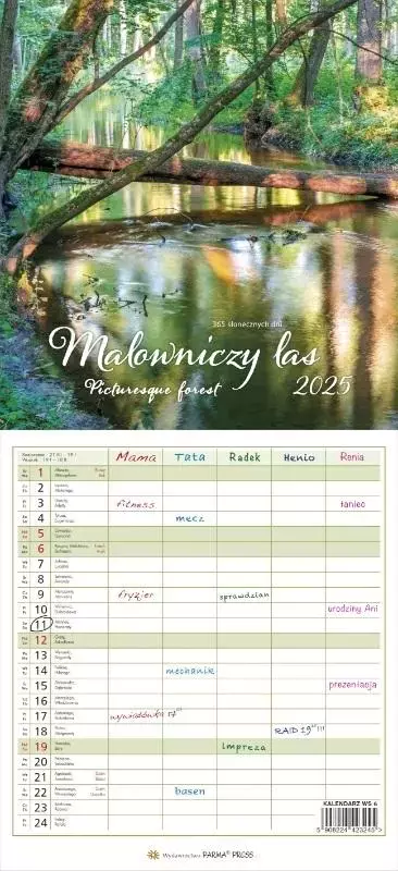 Kalendarz 2025 Malowniczy las - Książki