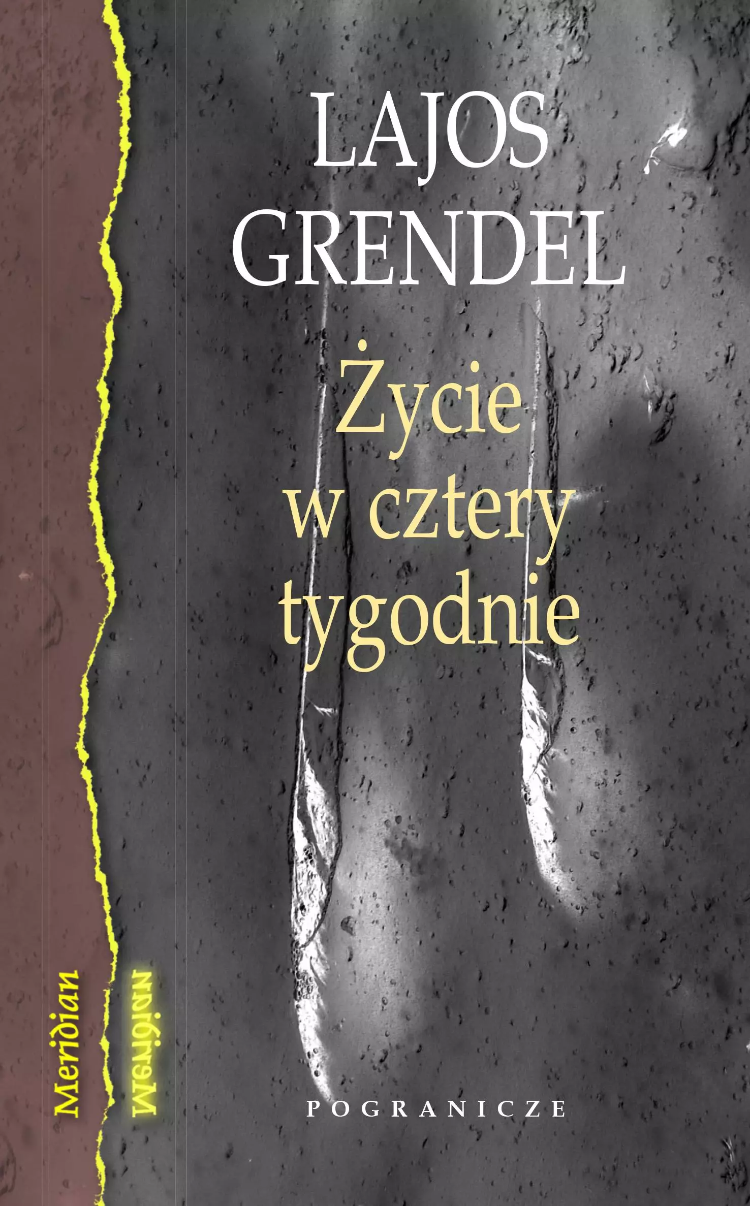 Życie w cztery tygodnie - Książki