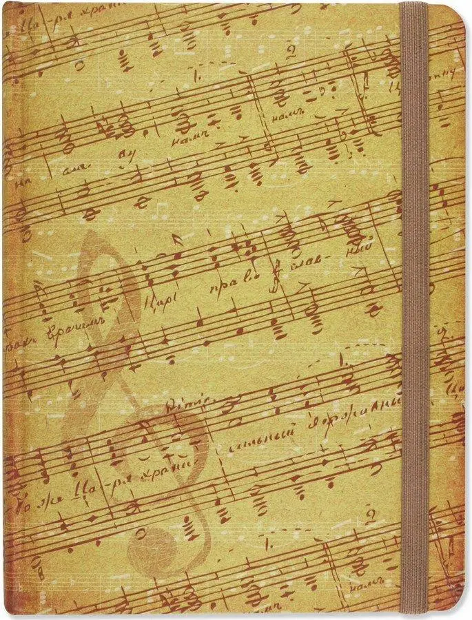 Notatnik Midi Muzyka Peter Pauper Press - Papiernicze i szkolne