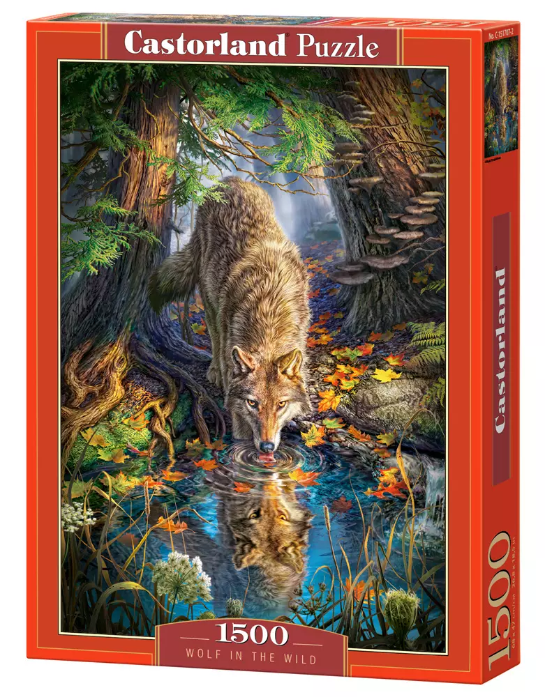 Puzzle 1500 elementów. Wolf in the Wild - Puzzle